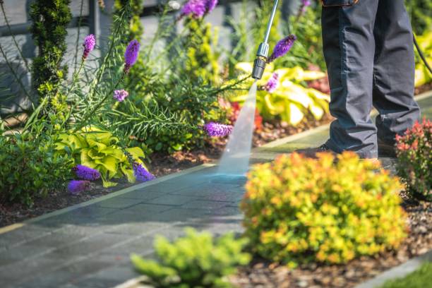 Best House Exterior Washing  in Avis, PA