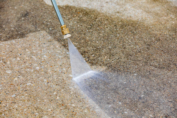 Best Spring Cleaning  in Avis, PA